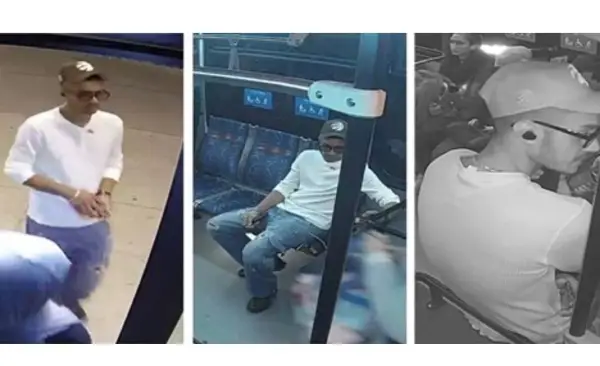 Peel Police Seek Suspect in Brampton Transit Bus Stabbing