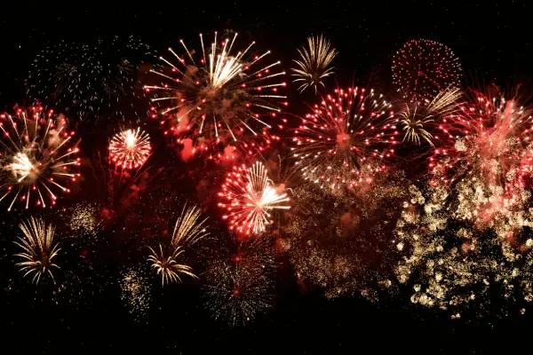 Calgary police remind residents Diwali fireworks require permits under city bylaw