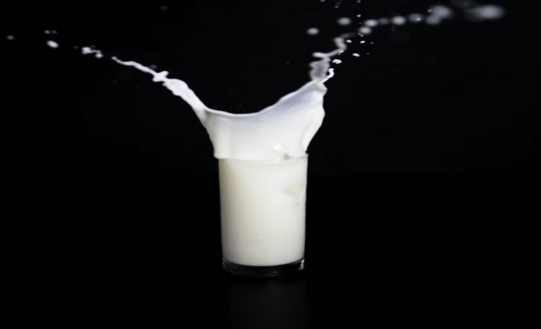 A new study reveals the extent of food wasted due to date labels