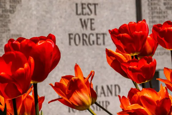 City adjusts transit, parking and facility hours for Remembrance Day
