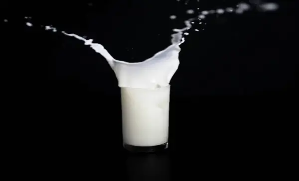 A new study reveals the extent of food wasted due to date labels