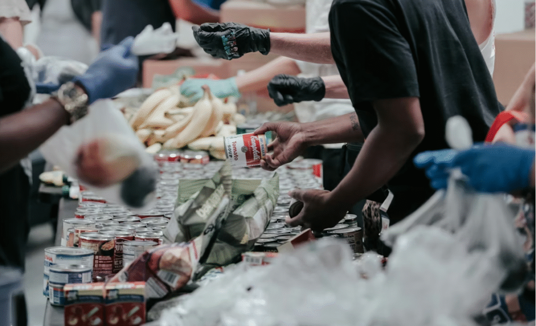 Study shows close to 25% of people in B.C. accessed food banks this year