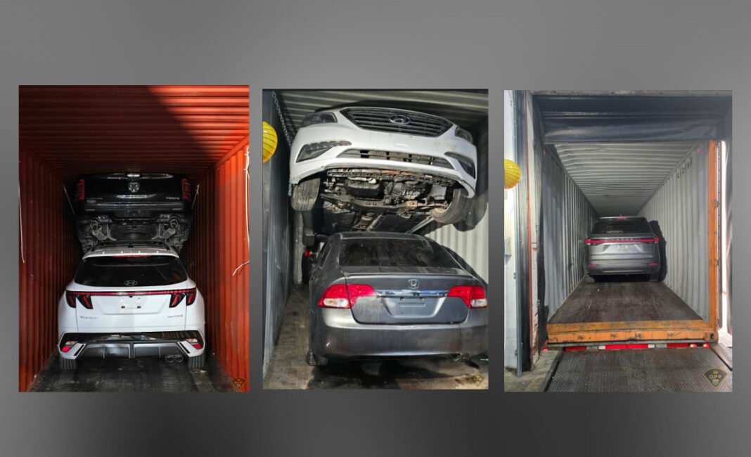 Police dismantle major auto theft and export ring in project CHICKADEE