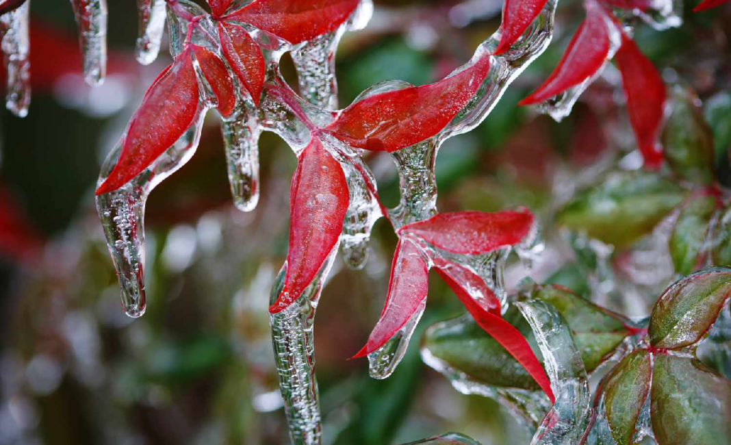 Winter storm warnings issued across eastern Canada ahead of New Year’s