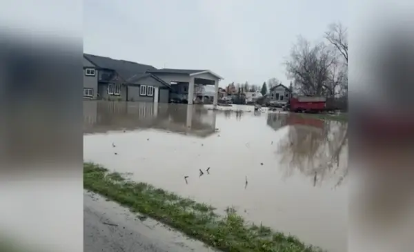 Abbotsford farmers face uncertainty as city issues evacuation orders amid flooding fears