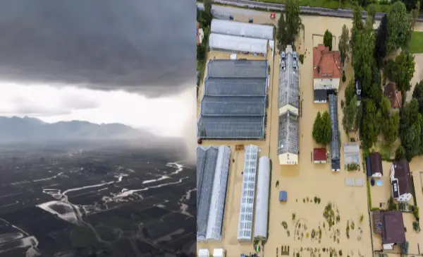 Receding floodwaters reduce evacuation orders to fewer than a dozen properties in Abbotsford