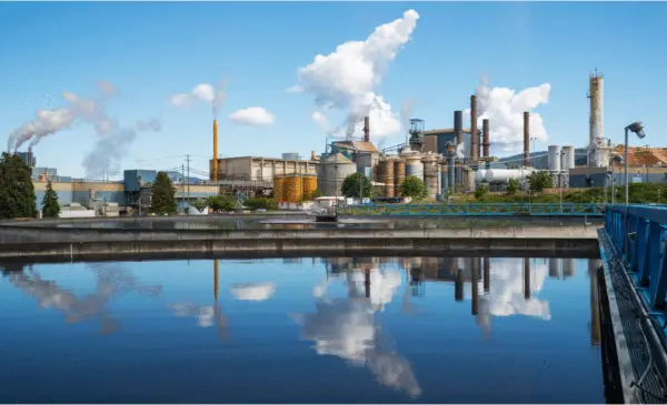 B.C. pulp mill shutdown will cost 350 jobs, company says