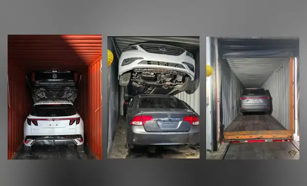 Police dismantle major auto theft and export ring in project CHICKADEE