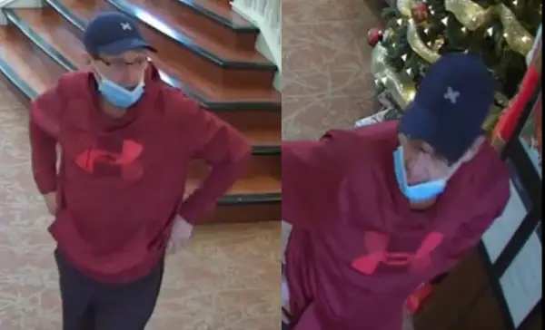 A suspected thief pretended to be a maintenance worker in order to steal a Surrey senior’s purse