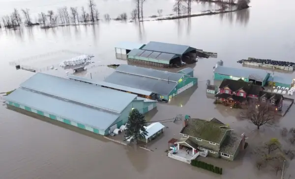 Floodwaters hit Highway 1 in B.C., prompting school closures and wider evacuations in Abbotsford