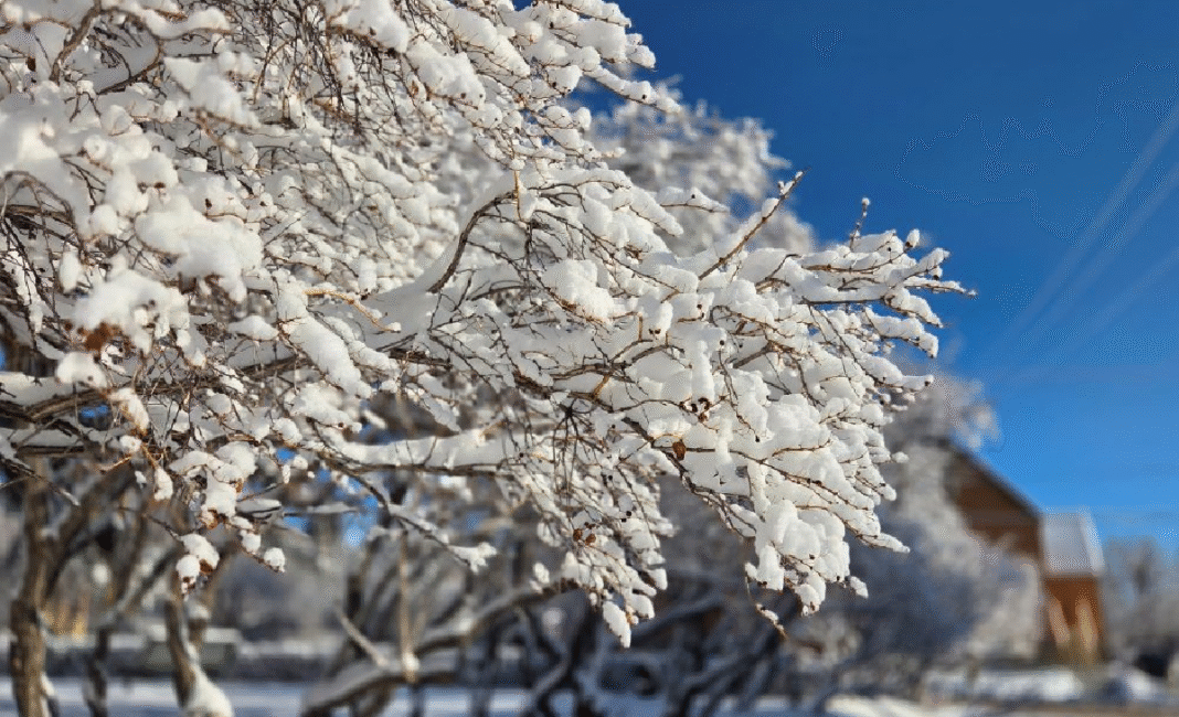 Winter blast to hit Northern and Southeastern Alberta with heavy snow and high winds