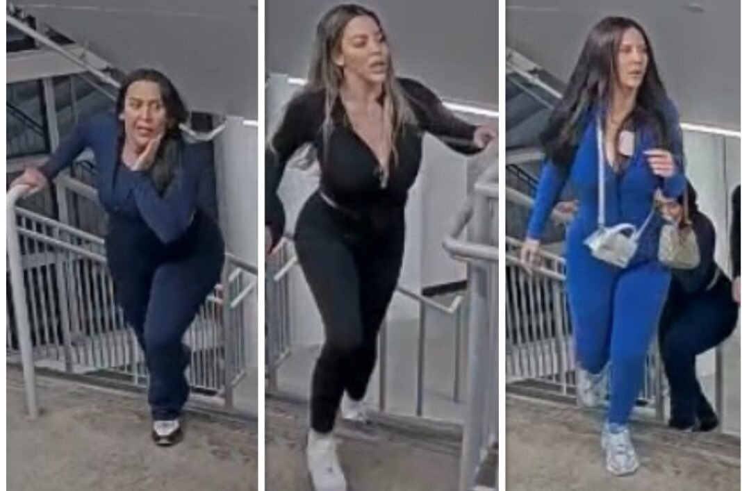 Three women wanted by Toronto police in robbery investigation