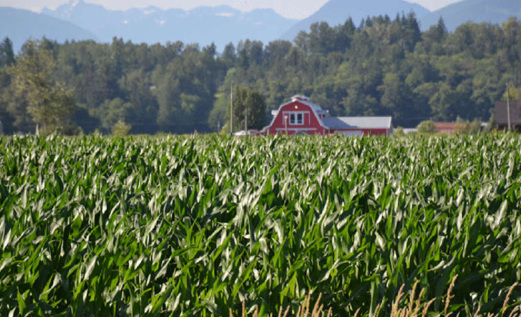 BC farmers face mounting losses in 2024
