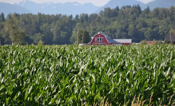 BC farmers face mounting losses in 2024