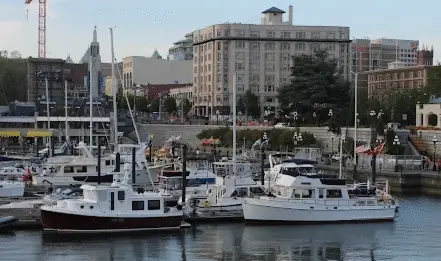 City Council in Victoria reviewing a plan to enhance  public safety and community well-being