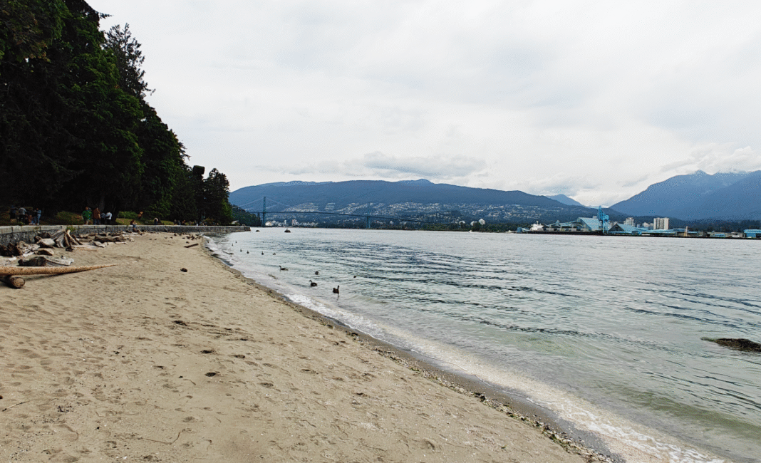 Swimming advisories issued for 8 metro Vancouver beaches due to high E. coli levels