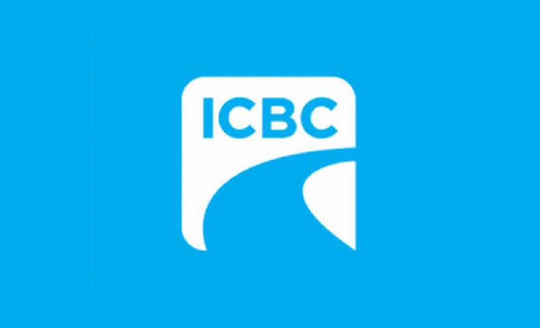 Protect your pets on summer road trips, warns ICBC, SPCA