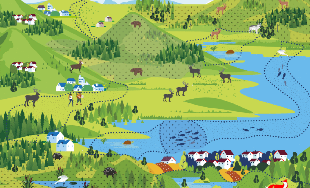 Over $8 million invested to boost BC's ecological connectivity