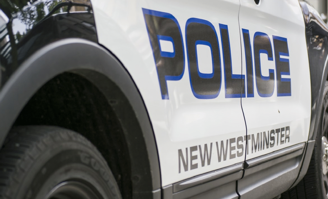 Woman rescued from Fraser River by New Westminster cops