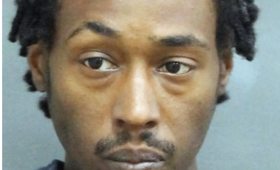 Man arrested in High Park sexual assault case, police seek additional victims