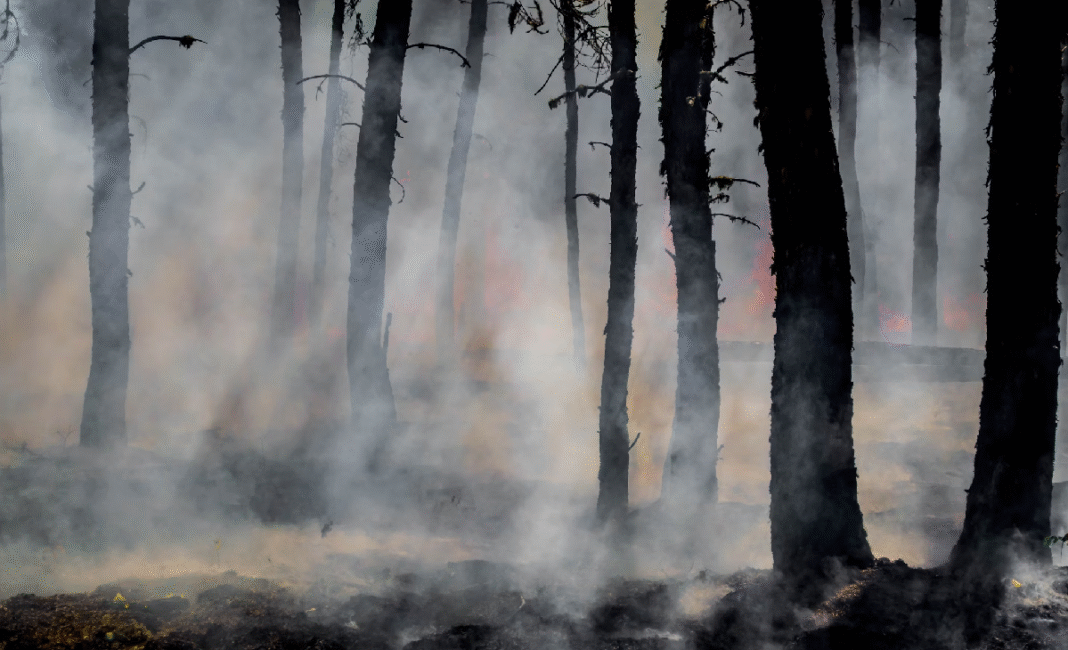 Wildfire smoke expected across BC as 15 fires remain out of control