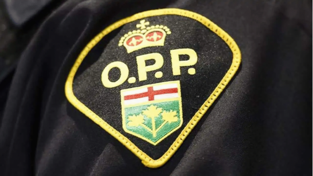 Toddler drowns at Sandbanks Provincial Park, OPP launches investigation