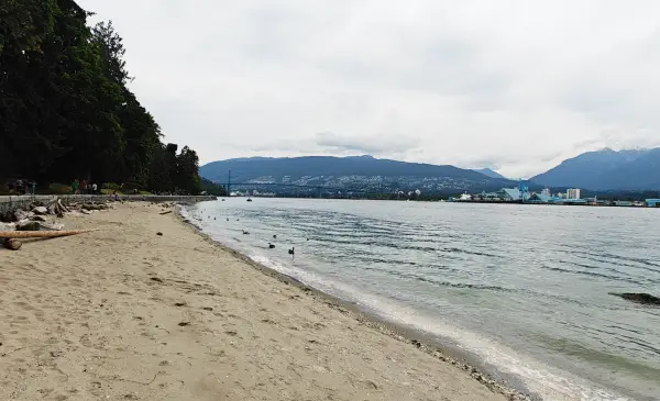 Swimming advisories issued for 8 metro Vancouver beaches due to high E. coli levels