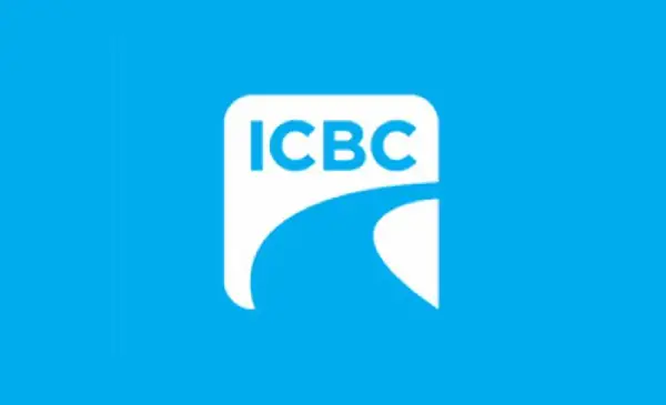 Protect your pets on summer road trips, warns ICBC, SPCA