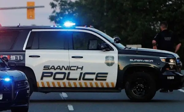 Man arrested after fleeing police in Sidney
