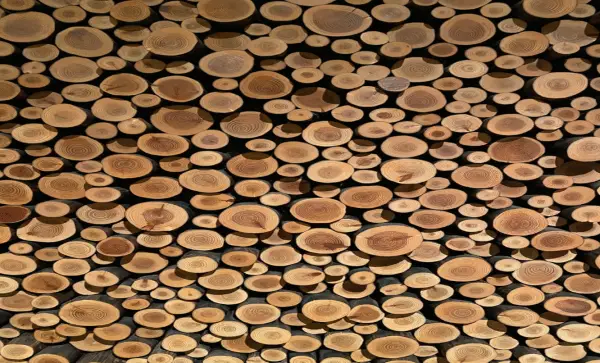 US announces final anti-dumping rate of 20.56% for Canadian softwood lumber imports