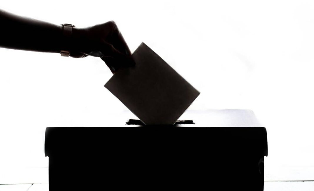Canada’s federal voting system is constitutional, Ontario Court of Appeal rules