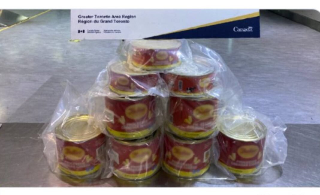CBSA seizes $2M in cocaine hidden in processed cheese cans