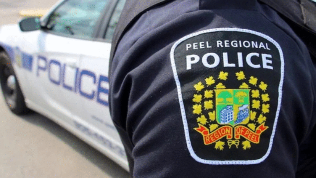 Firearms, drugs and cash seized after search warrants in Brampton and Mississauga