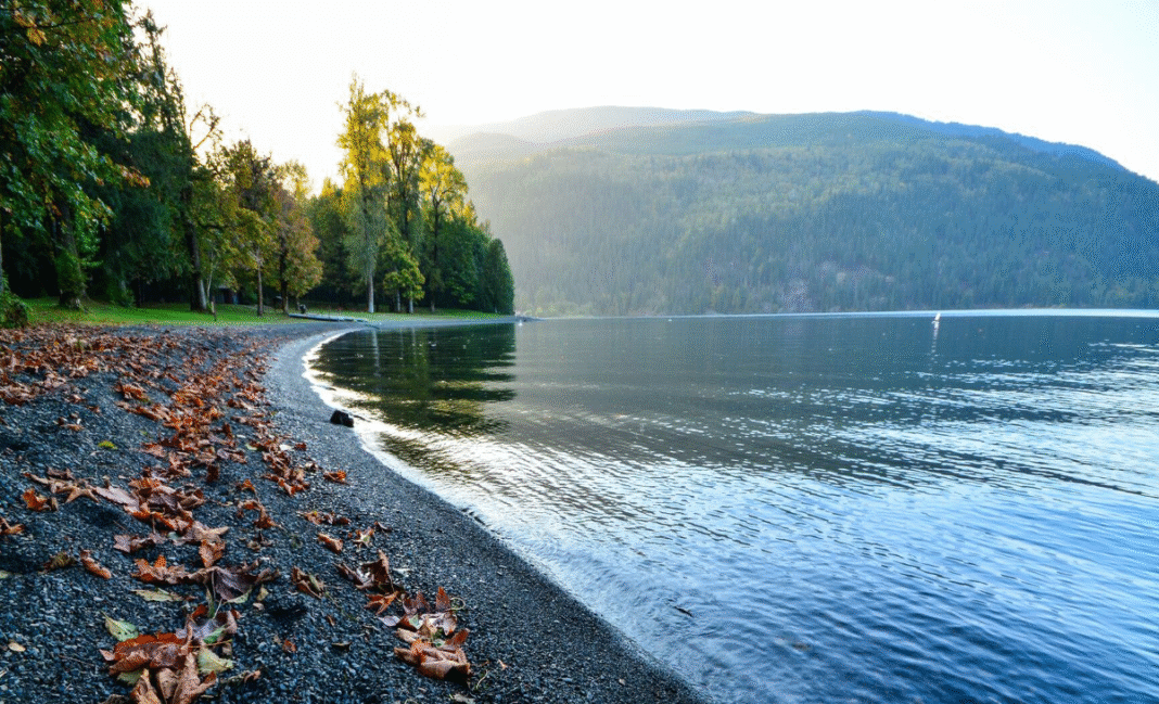 Man dies after drowning in Cultus Lake