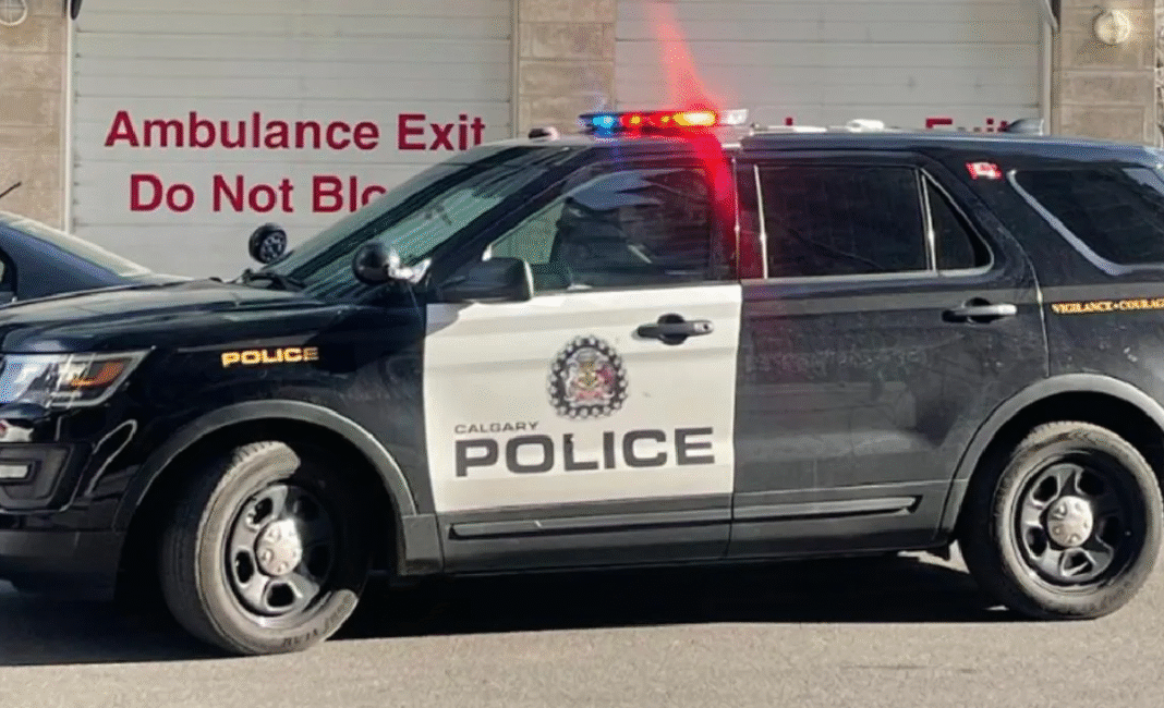 Woman arrested in Calgary after police find guns, Fentanyl, and suspected stolen property