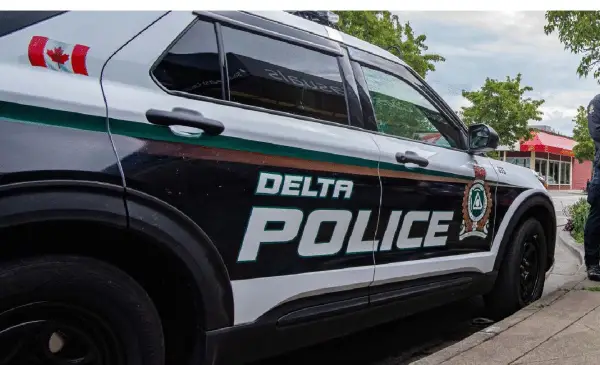 Man arrested in multiple thefts from vehicles in Tsawwassen