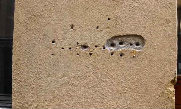 White Rock shooting under investigation. Police connect it to extortion
