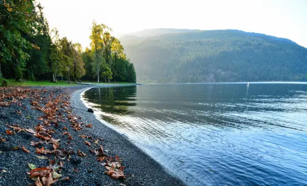 Man dies after drowning in Cultus Lake