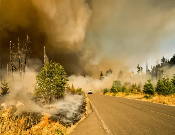 Canada’s 2025 Wildfire Season Ranks as Second-Worst in History