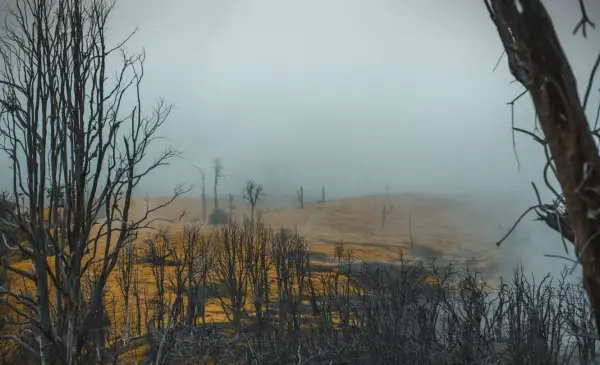 Ontario's Doug Ford urges more federal assistance to fight wildfires across Canada