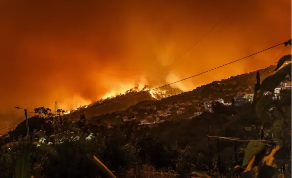 Summer storms bring both relief and risk as 70,000 lightning strikes trigger spike in B.C. wildfires