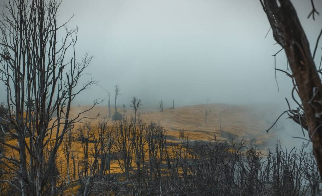 Ontario's Doug Ford urges more federal assistance to fight wildfires across Canada