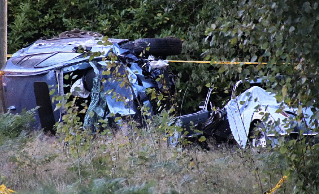One dead in Langley Township crash