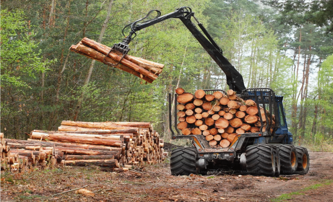 Canada withdraws two appeals challenging U.S. anti-dumping duties on softwood lumber