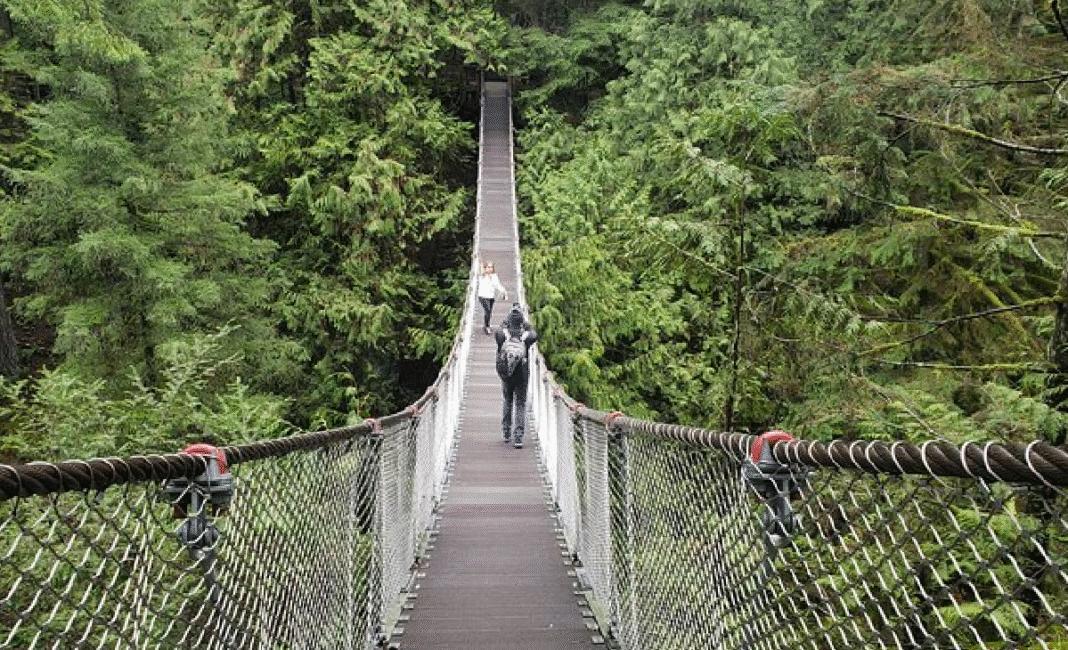 Lynn Canyon Suspension Bridge to close for two months