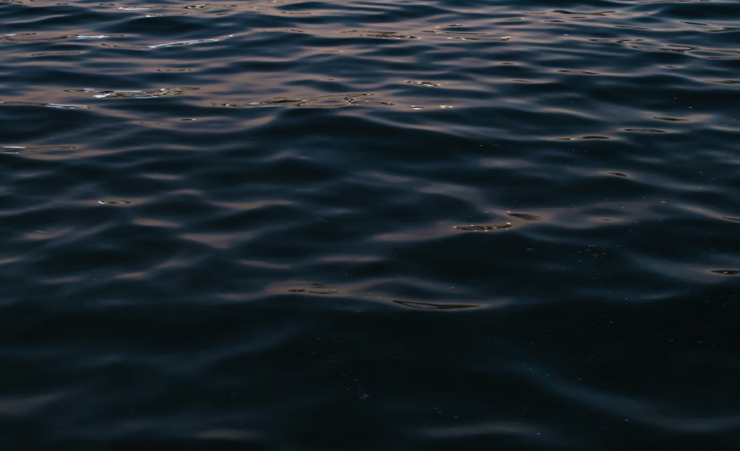 A teenager has died following a suspected drowning near Victoria