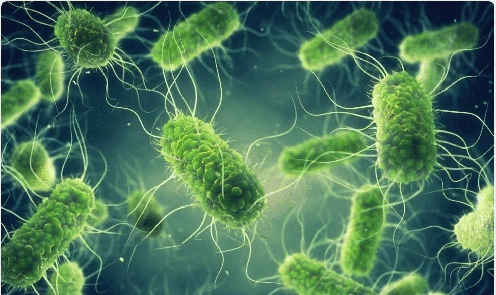 Salmonella outbreak linked to dog food sickens 27 people in Western Canada