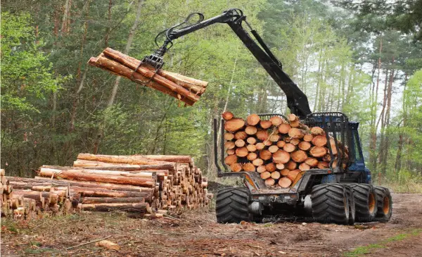 Canada withdraws two appeals challenging U.S. anti-dumping duties on softwood lumber