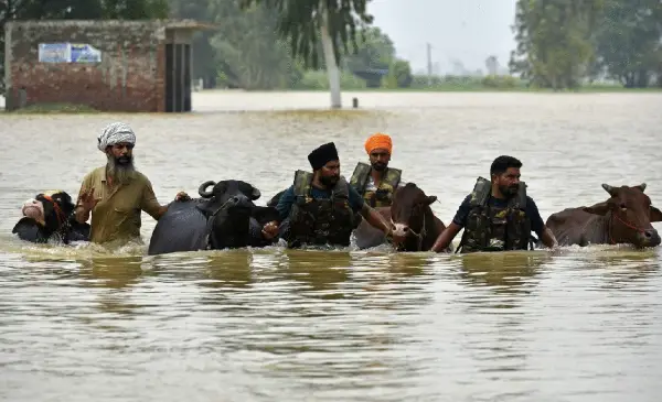 Floods: Punjab govt announces ₹20,000 per acre compensation for farmers; PM Modi to visit tomorrow