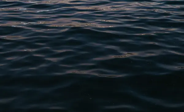 A teenager has died following a suspected drowning near Victoria
